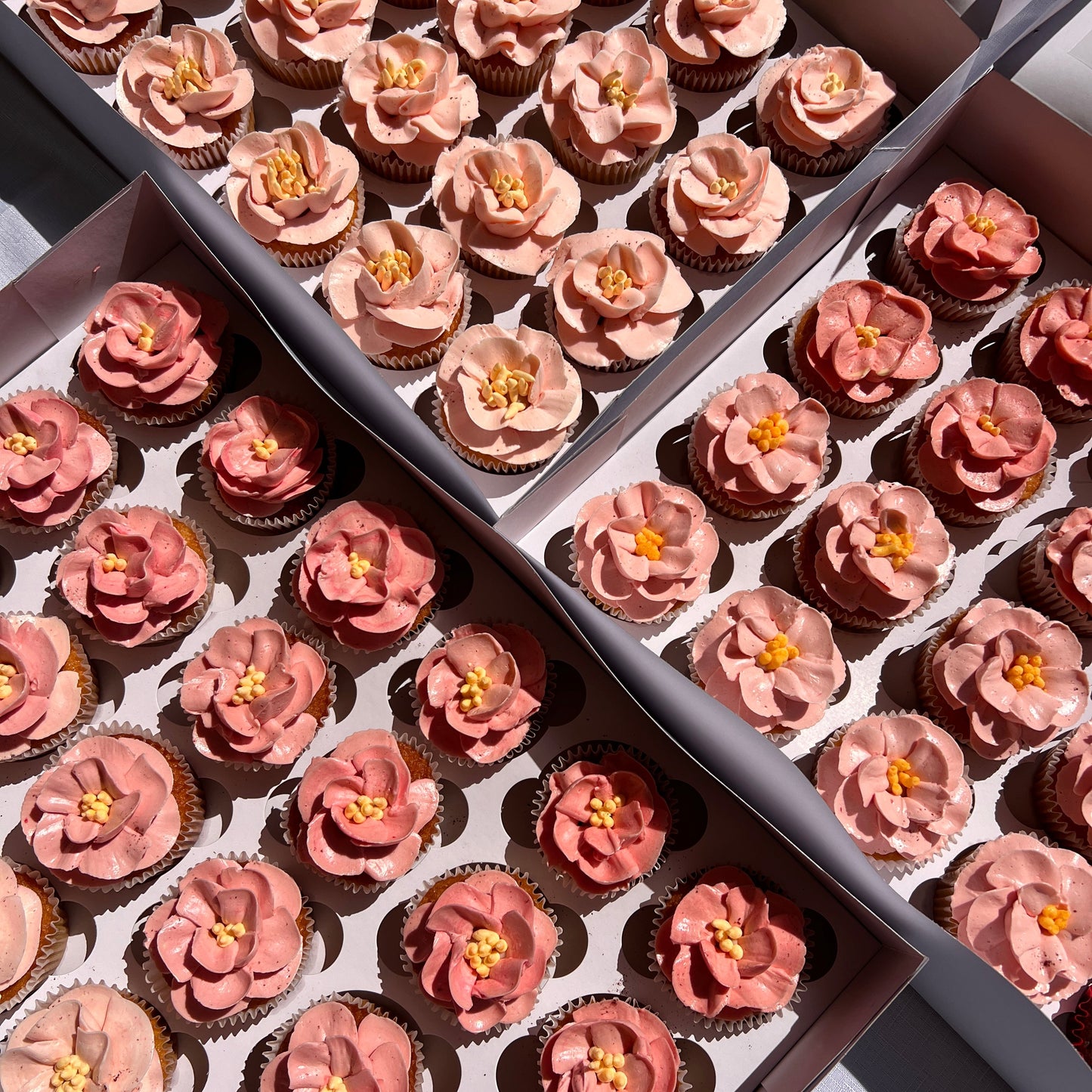 Floral Cupcakes